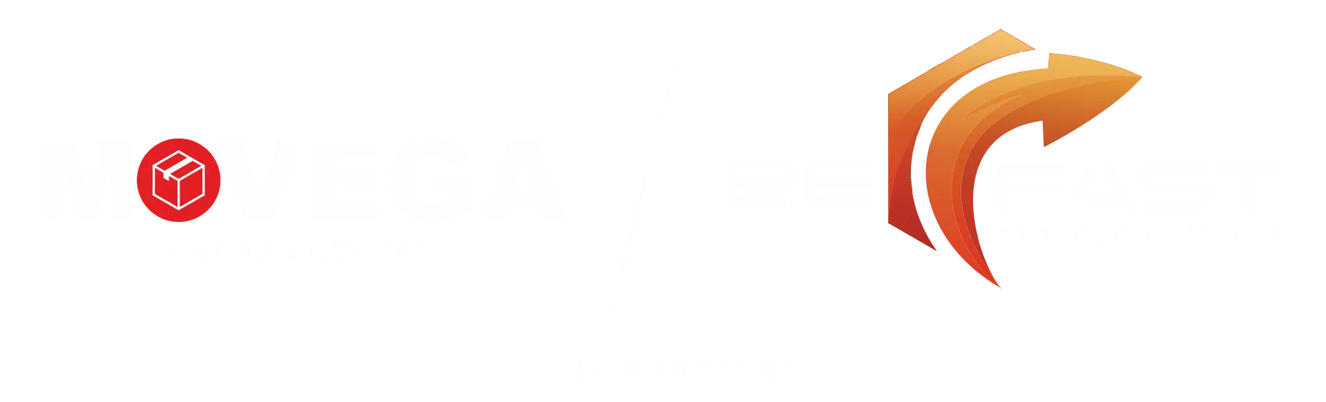 befast_partnership